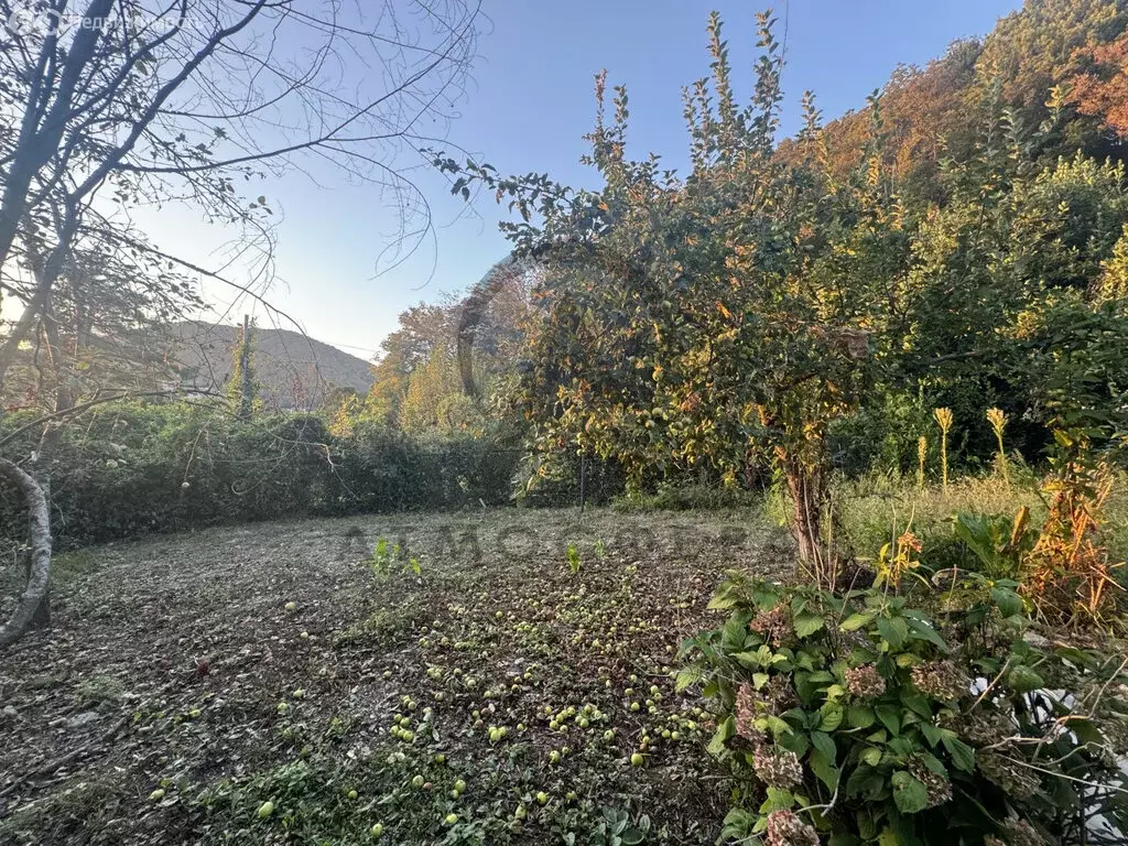 Участок в Агой, Центральная улица (11 м) - Фото 1