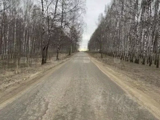 Участок в Татарстан, Казань Кооператор садоводческое товарищество, 359 ... - Фото 2