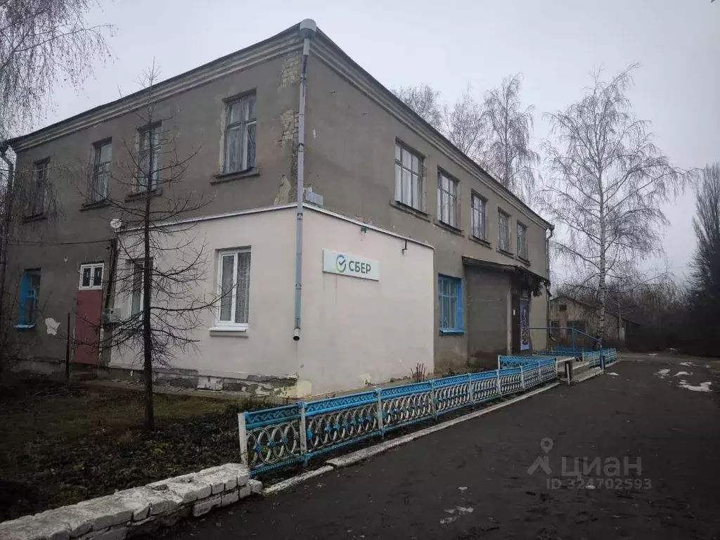 Помещение свободного назначения в Воронежская область, Репьевский ... - Фото 2