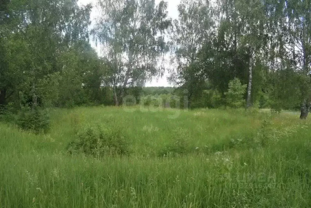 Участок в Калужская область, Бабынинский муниципальный округ, ... - Фото 2