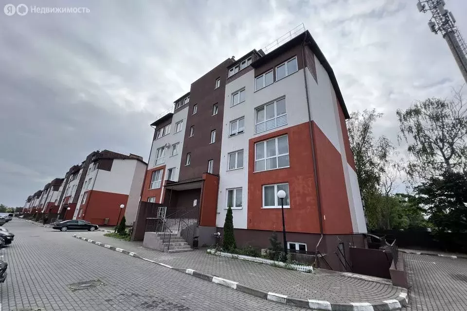 Помещение свободного назначения (63 м) - Фото 2