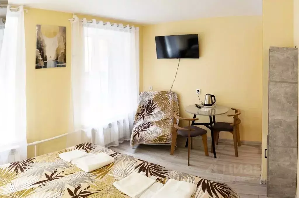 1-к кв. Санкт-Петербург Пушкинская ул., 11 (25.0 м) - Фото 2