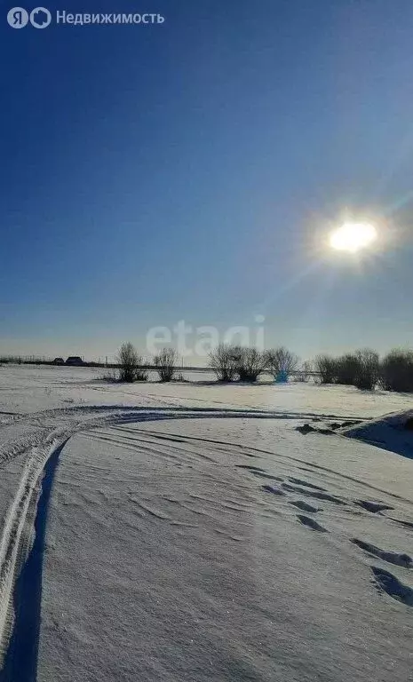 Участок в Читинский район, село Арахлей (10.1 м) - Фото 1