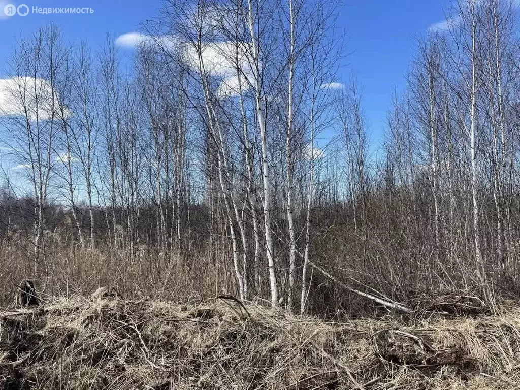 Участок в Тюменская область, Нижнетавдинский муниципальный округ, ... - Фото 2