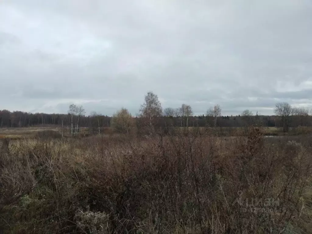 Участок в Московская область, Дмитровский муниципальный округ, пос. ... - Фото 1