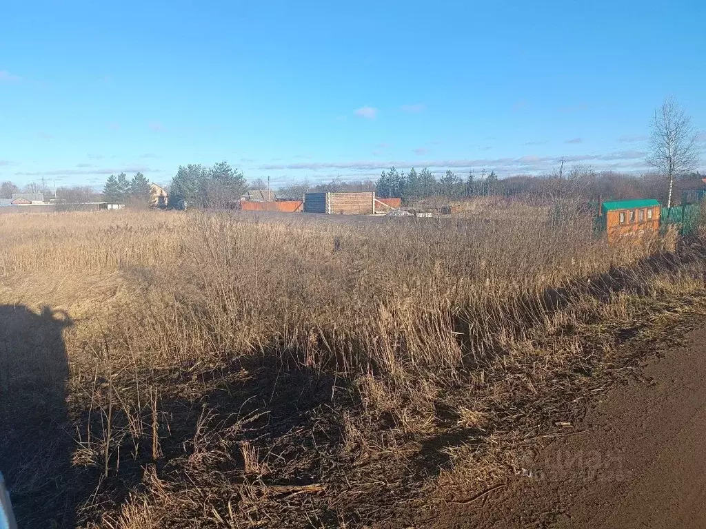 Участок в Новгородская область, Новгородский район, Борковское с/пос, ... - Фото 0