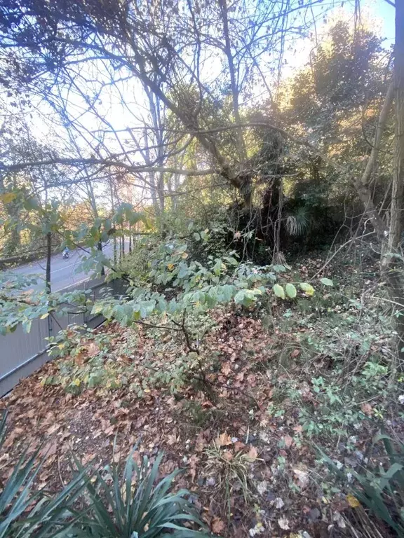 Участок в Краснодарский край, Сочи Вишневая ул. (7.0 сот.) - Фото 1