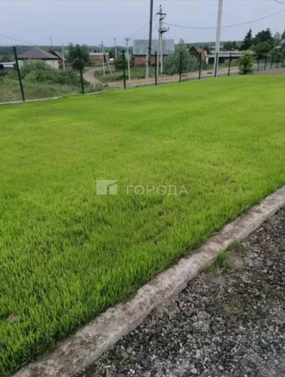 Участок в Новосибирская область, Новосибирский район, Новолуговской ... - Фото 1