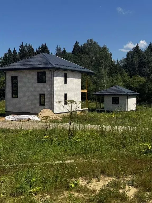 Участок в Московская область, Талдомский городской округ, с. ... - Фото 2