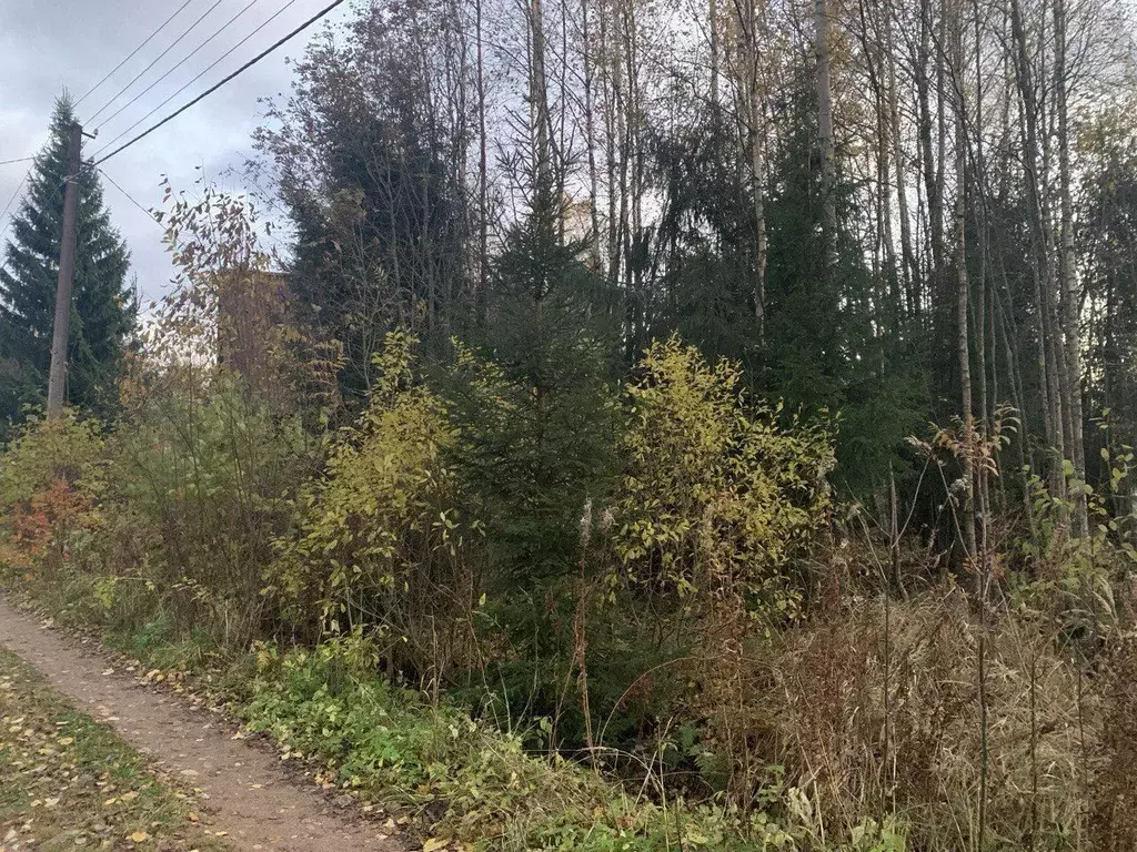 Участок в Ленинградская область, Выборгский район, Гончаровское с/пос, ... - Фото 1