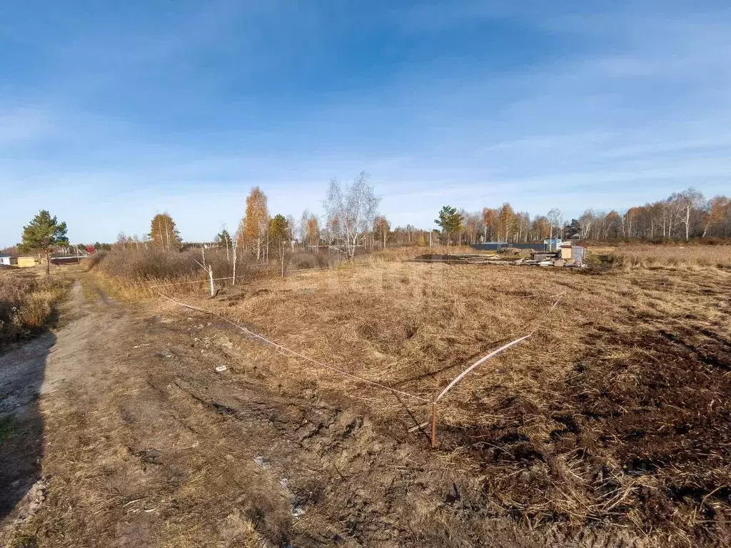 Участок в Тюменская область, Тюмень Ясень садовое товарищество, ул. ... - Фото 1