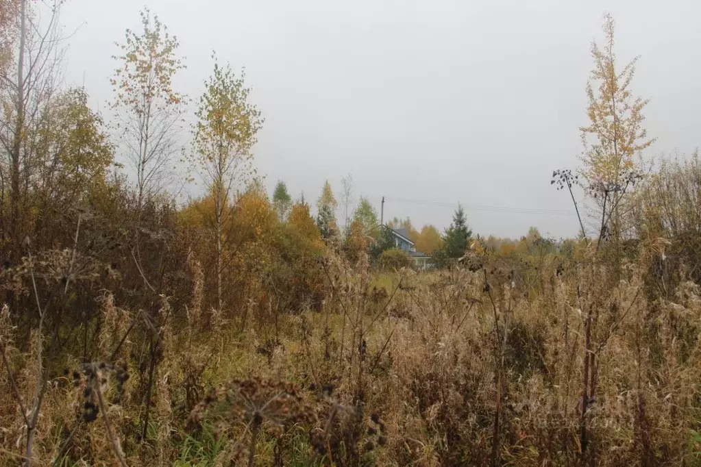 Участок в Московская область, Шаховская муниципальный округ, д. Сутоки ... - Фото 1