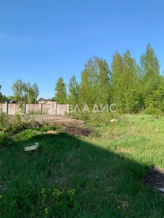 Участок 29,5 сот. (ИЖС) - Фото 1