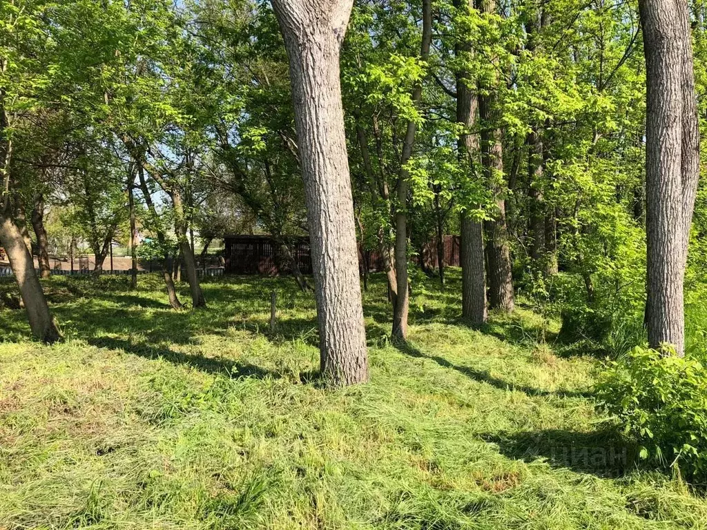 Участок в Краснодарский край, Краснодар Виктория садовое товарищество, ... - Фото 0