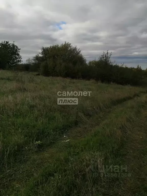 Участок в Краснодарский край, Анапа муниципальный округ, Куток хут. ... - Фото 1
