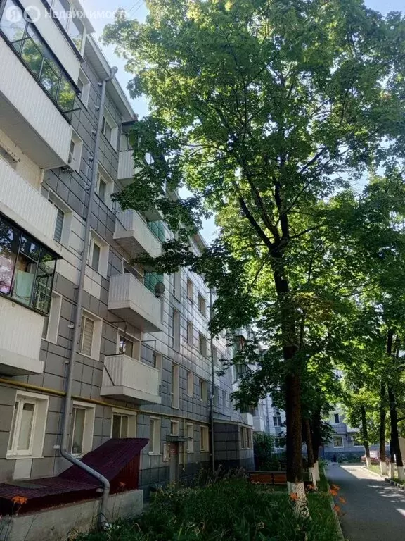 2-комнатная квартира: Белгород, улица Некрасова, 5 (44.7 м) - Фото 1