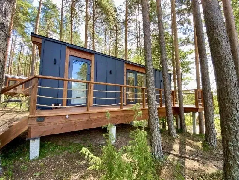 Дом в Псковская область, Гдов  (24 м) - Фото 1