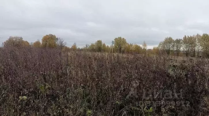 Участок в Московская область, Дмитровский муниципальный округ, д. ... - Фото 0