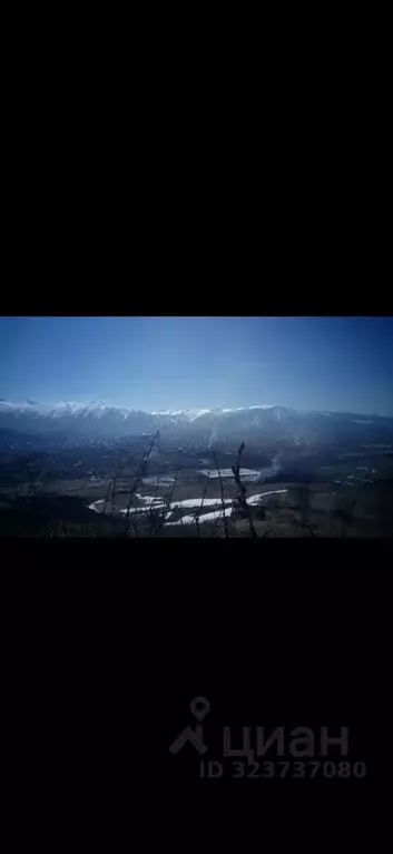 Участок в Алтайский край, Краснощековский район, Усть-Беловский ... - Фото 2