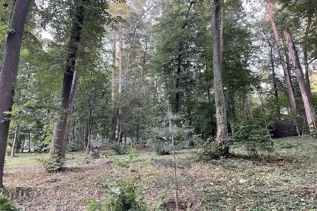 Участок в Московская область, Одинцовский городской округ, Горское ... - Фото 1