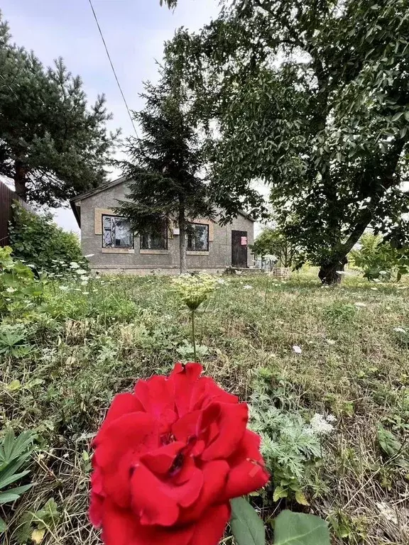 Участок в Ставропольский край, Ставрополь ул. Перспективная (6.22 ... - Фото 1