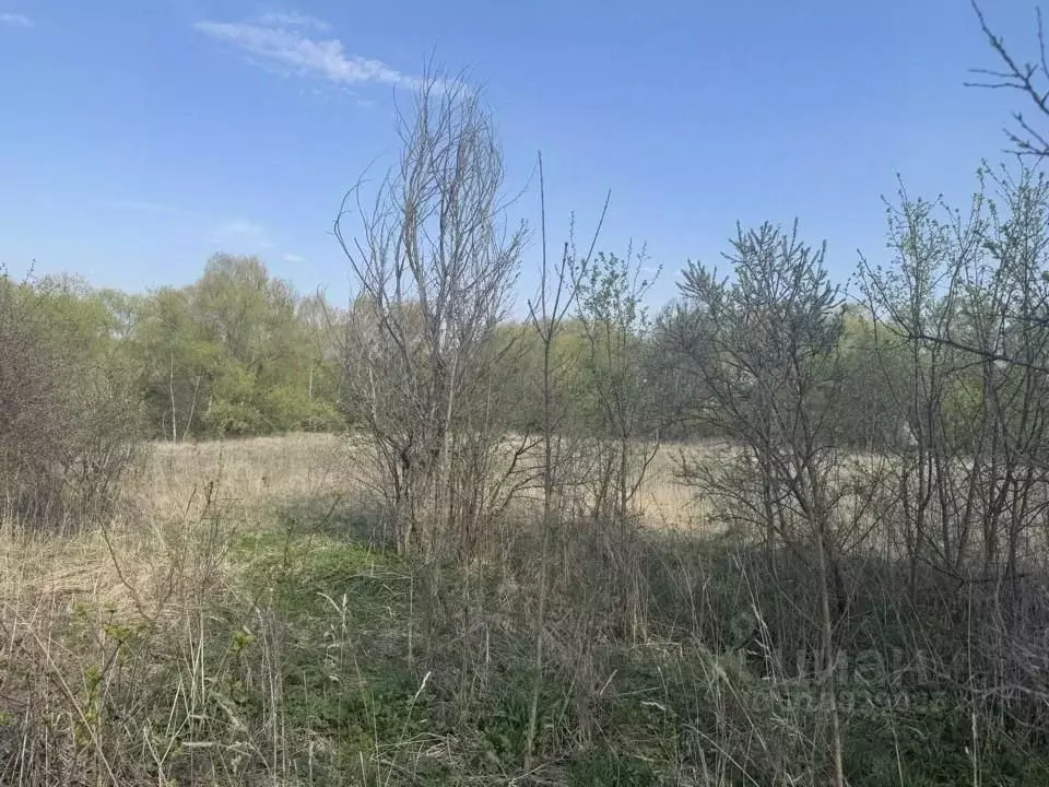 Участок в Московская область, Кашира городской округ, д. Кишкино  ... - Фото 0