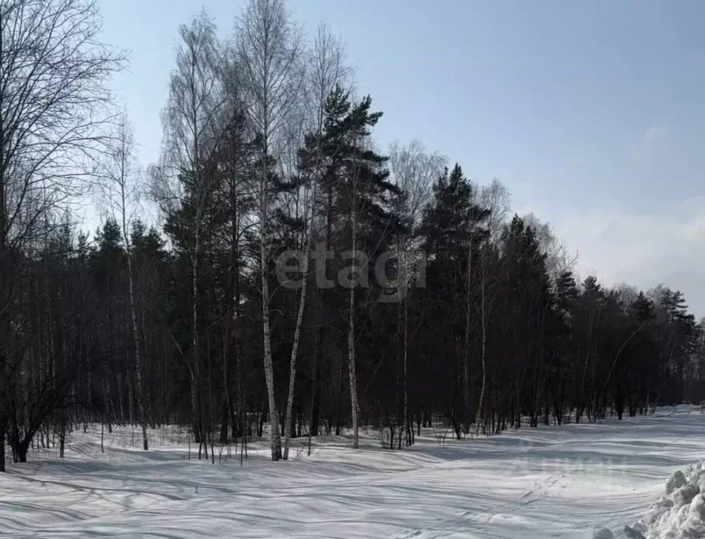 Участок в Московская область, Балашиха городской округ, д. Полтево  ... - Фото 1