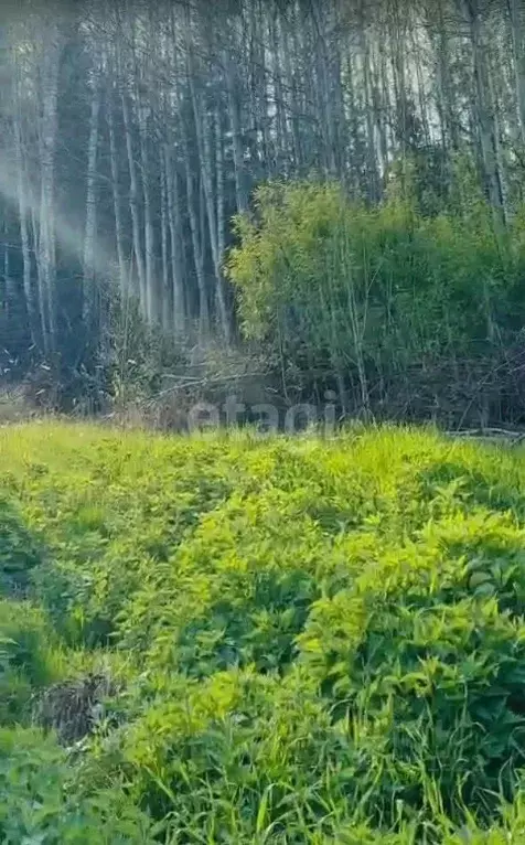 Участок в Свердловская область, Екатеринбург Созвездие Премиум ДПК,  ... - Фото 1