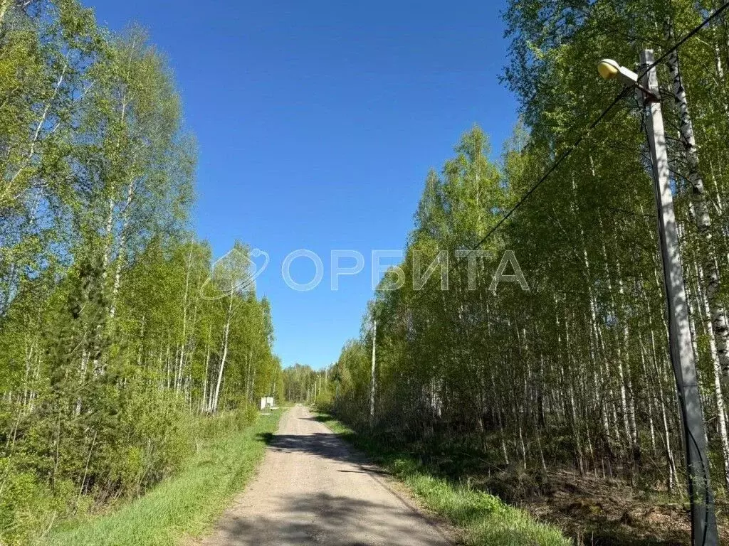 Участок в Тюменская область, Нижнетавдинский район, Березка СНТ  (8.2 ... - Фото 0