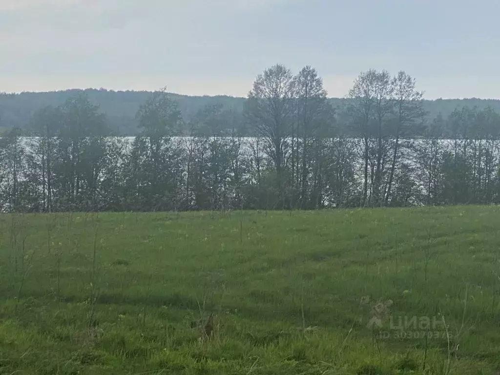 Участок в Вологодская область, Белозерский муниципальный округ, д. ... - Фото 1