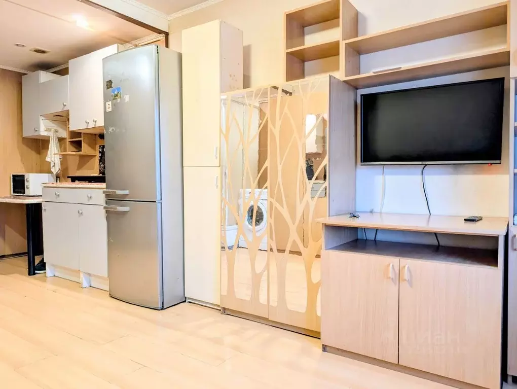 Студия Московская область, Дедовск г. Истра муниципальный округ, ул. ... - Фото 2