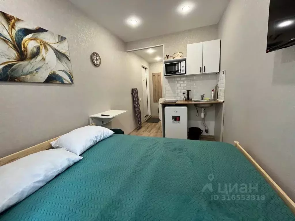 Студия Санкт-Петербург Кронверкский просп., 69 (14.0 м) - Фото 0