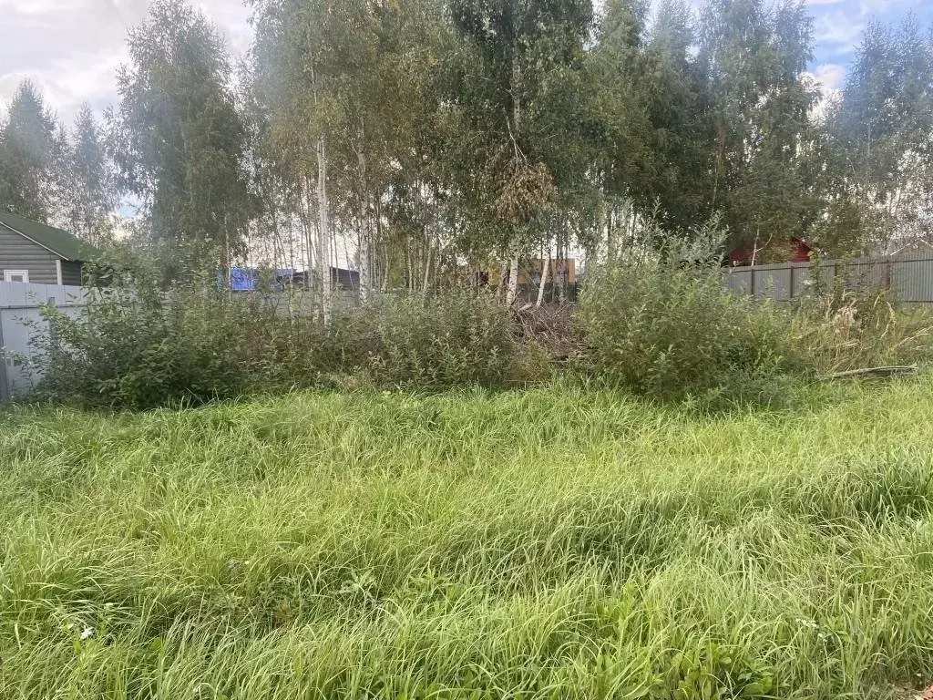 Участок в Московская область, Раменский муниципальный округ, ... - Фото 2