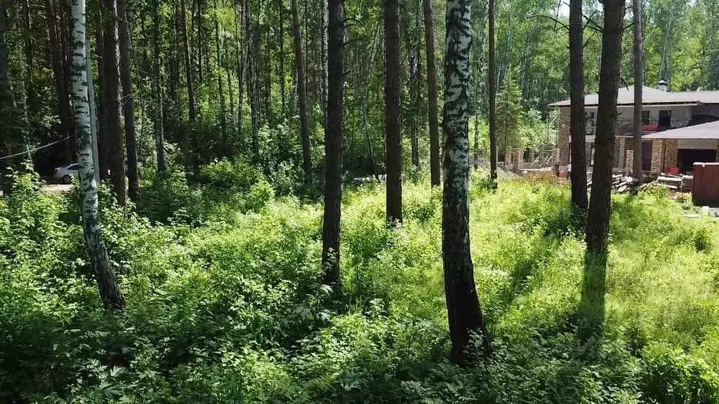 Участок в Новосибирская область, Новосибирск Лесной Берег тер.,  (20.0 ... - Фото 0