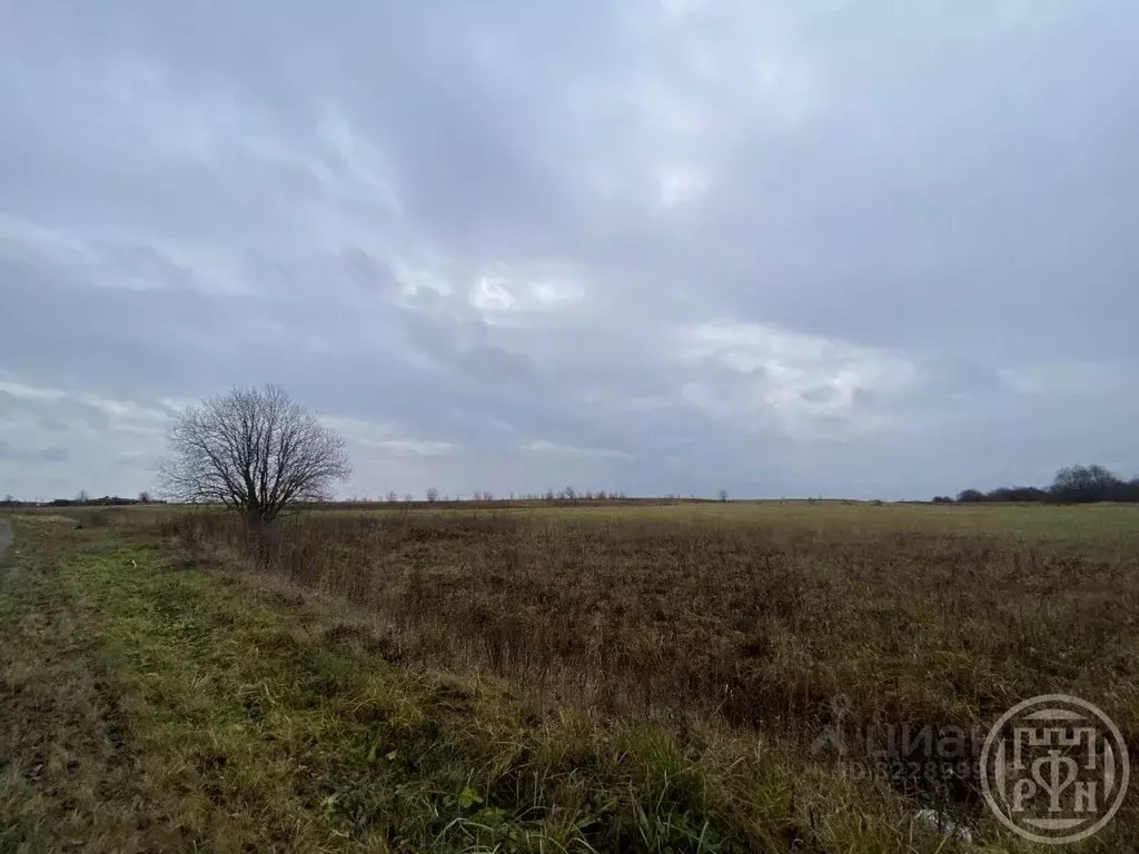 Участок в Ленинградская область, Волховский район, Свирицкое с/пос, ... - Фото 2