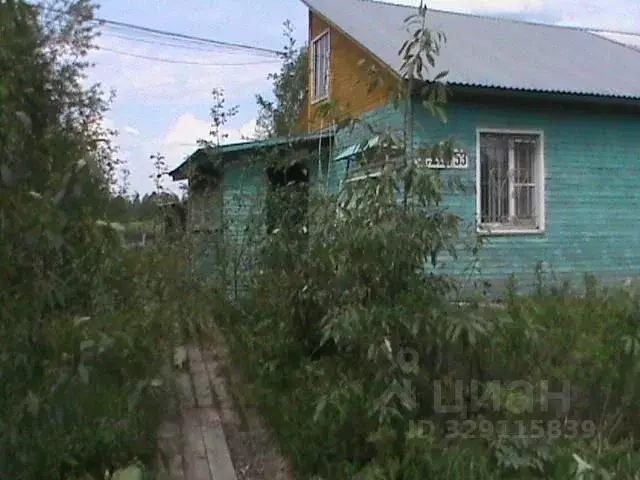 Помещение свободного назначения в Вологодская область, с. Тарногский ... - Фото 2