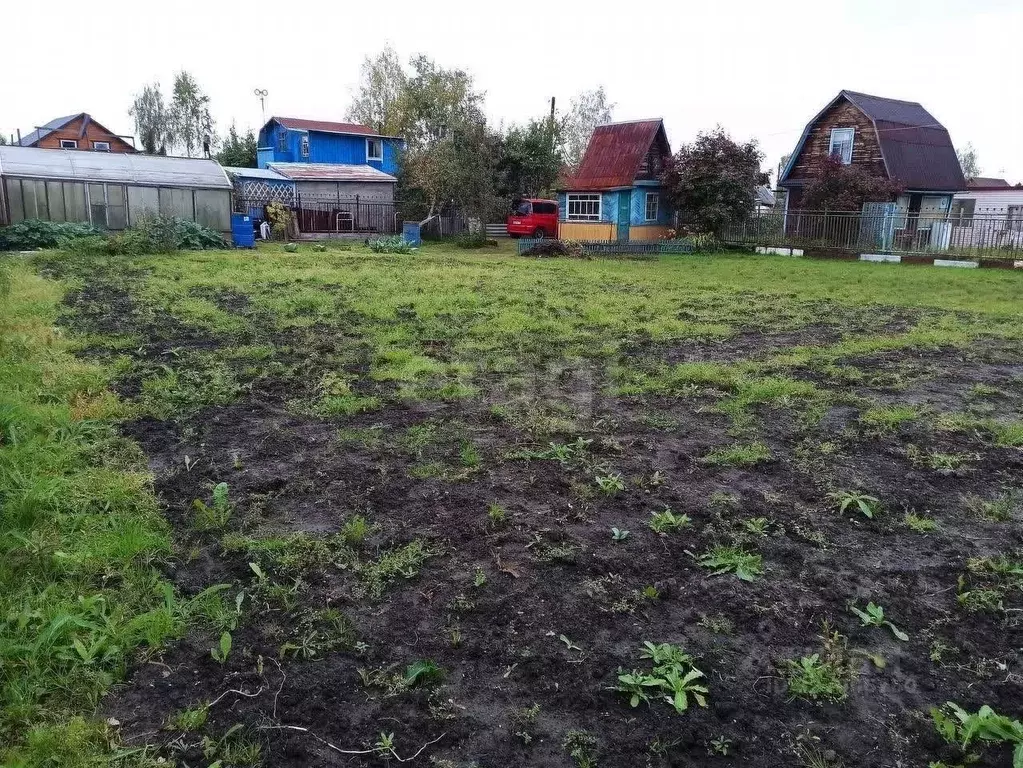 Участок в Новосибирская область, Новосибирск Лилия СНТ,  (6.8 сот.) - Фото 0