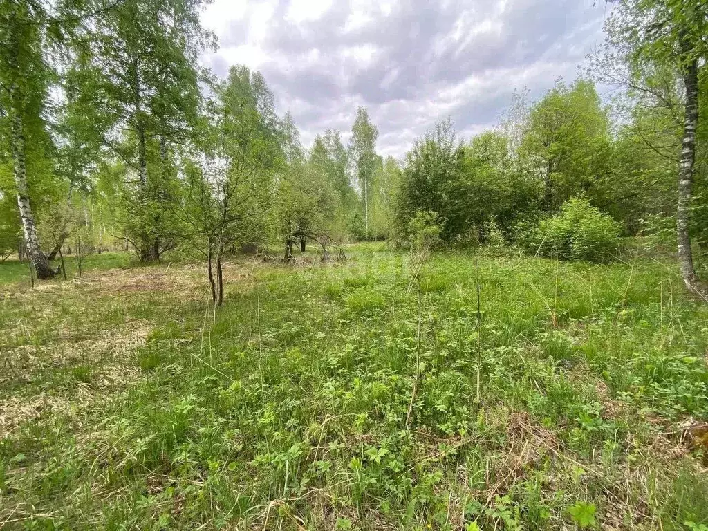 Участок в Алтай, Майминский район, Соузгинское с/пос, пос. Черемшанка ... - Фото 2