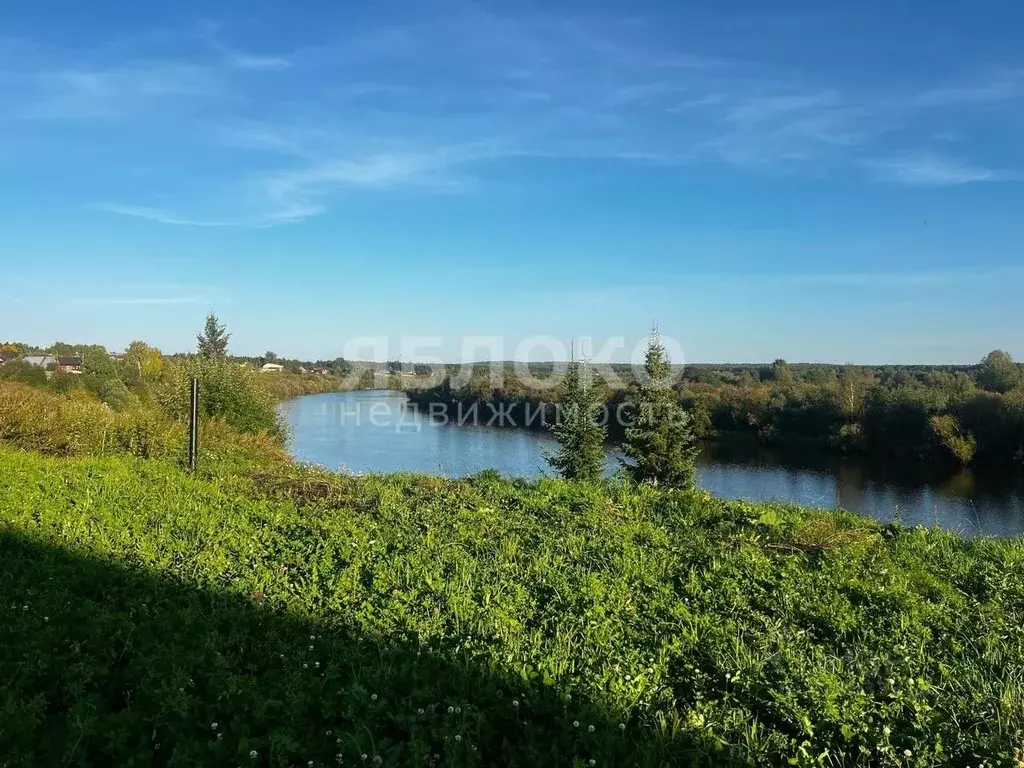 Участок в Пермский край, Березники муниципальный округ, с. Романово  ... - Фото 1