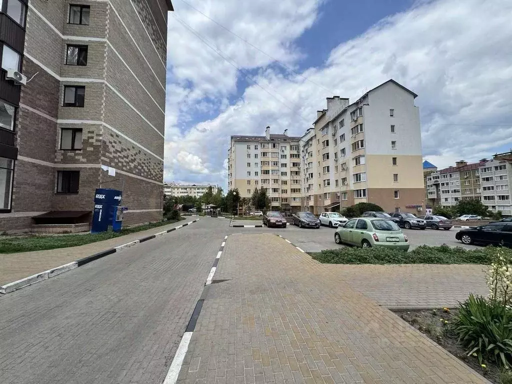 Торговая площадь в Белгородская область, Белгородский район, Дубовское ... - Фото 1