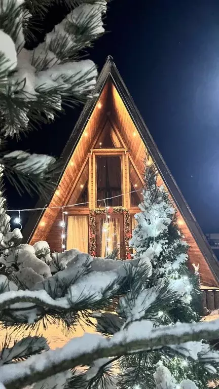 Дом в Ленинградская область, Выборгский район, Красносельское с/пос, ... - Фото 2