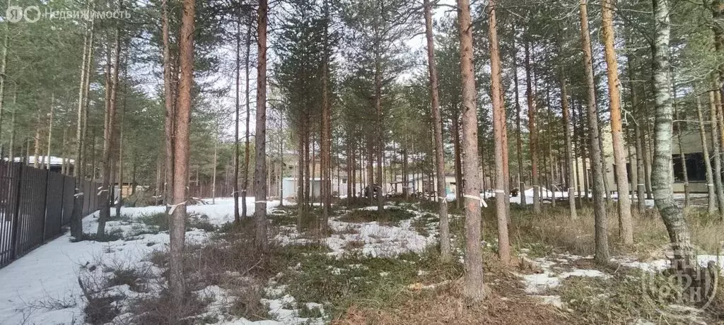 Участок в Сертоловское городское поселение, садоводческое ... - Фото 1