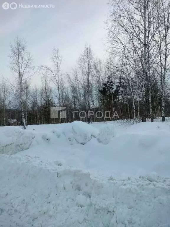 Участок в Барышевский сельсовет, садоводческое некоммерческое ... - Фото 2