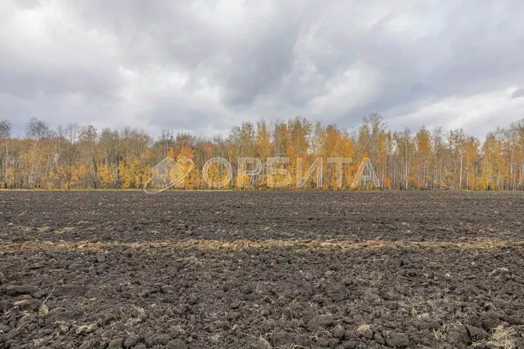 Участок в Тюменская область, Тюменский район, с. Горьковка  (9.8 сот.) - Фото 0