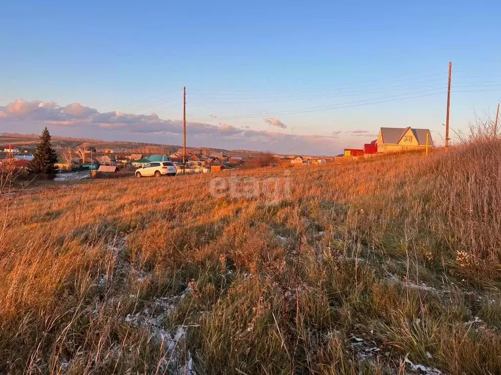 участок в алтайский край, барнаул садовая ул, 71 (40.0 сот.) - Фото 0