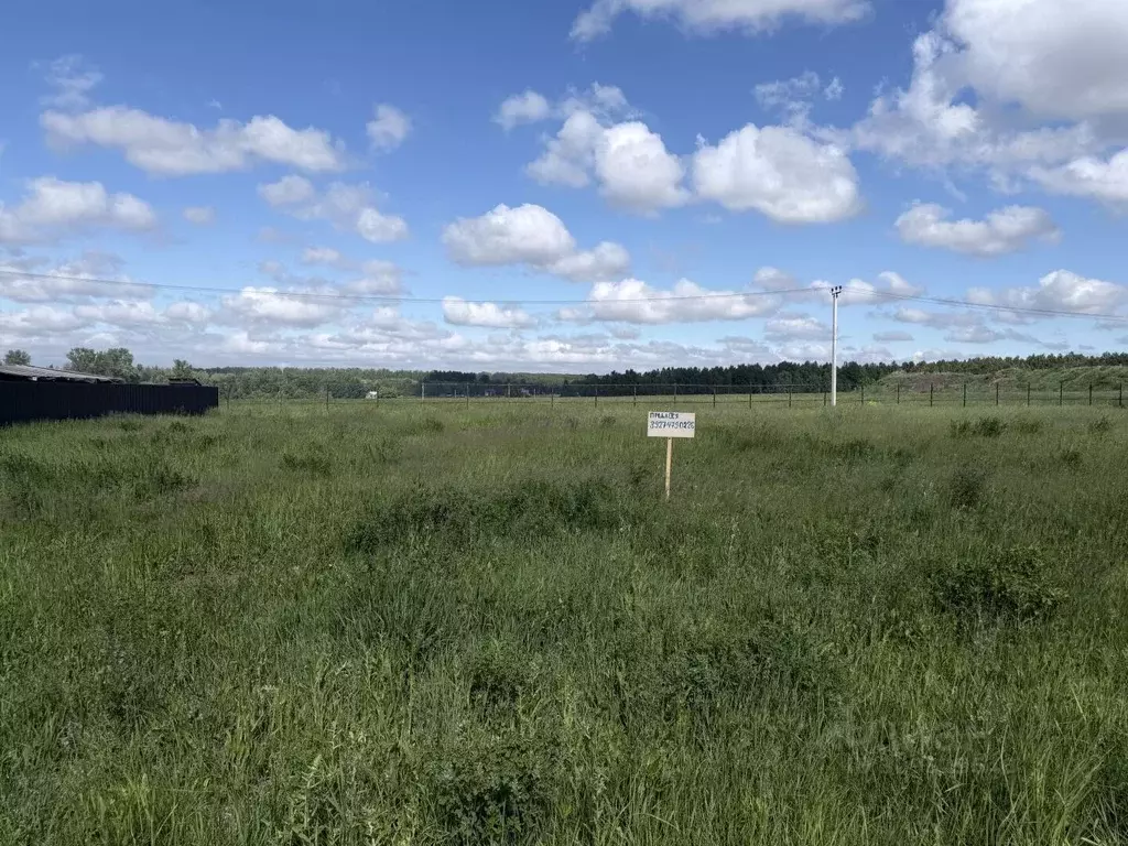 Участок в Татарстан, Лаишевский район, Егорьевское с/пос, с. Бима  ... - Фото 2