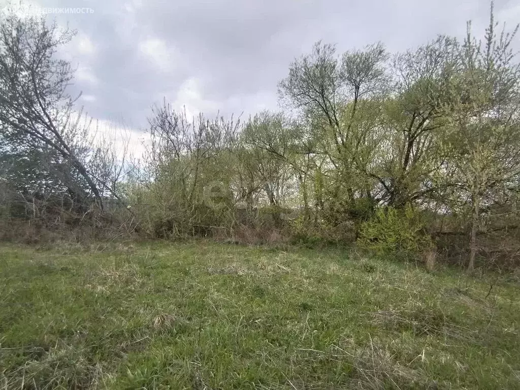Участок в Рамонский район, Свободная улица (8 м) - Фото 1