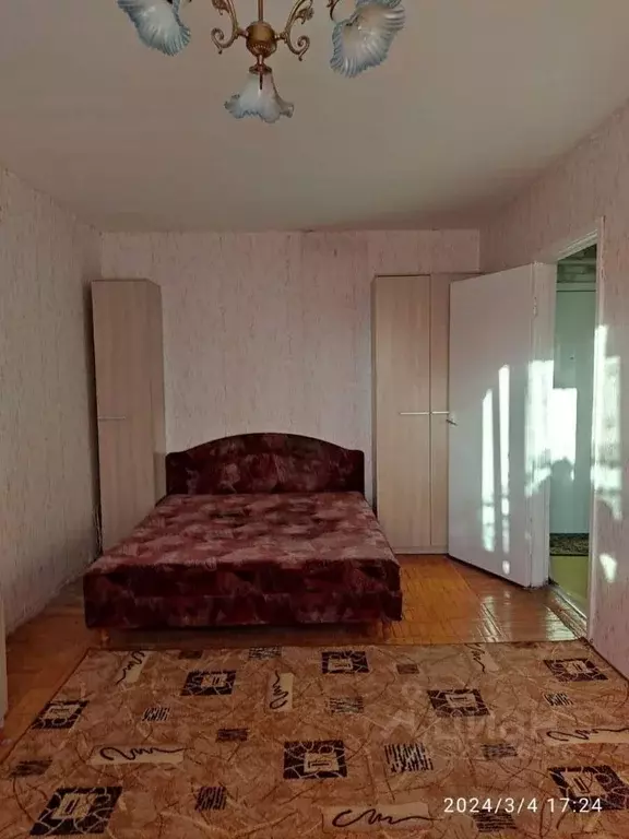 1-к кв. Ленинградская область, Гатчинский муниципальный округ, ... - Фото 1