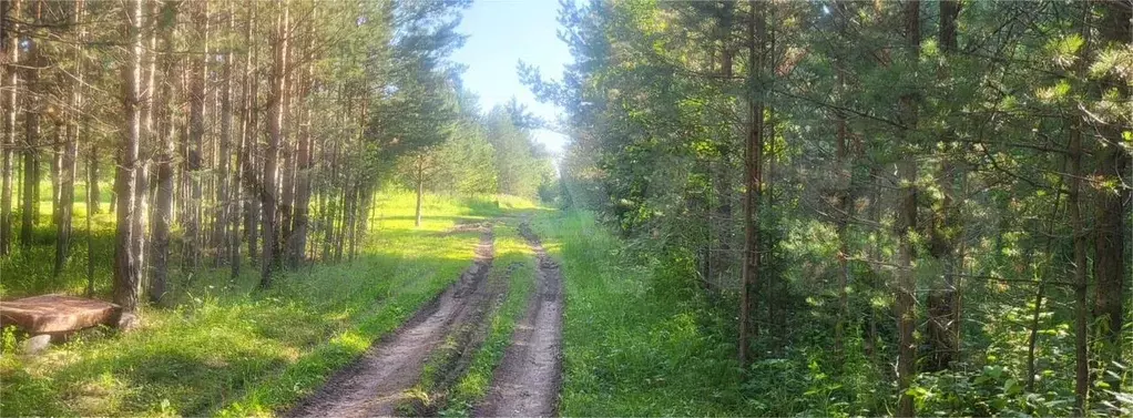 Участок 10 сот. (СНТ, ДНП) - Фото 1