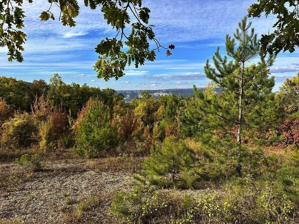 Участок в Крым, Бахчисарайский район, Куйбышевское с/пос, с. ... - Фото 1
